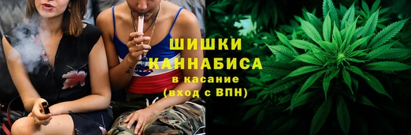 стаф Богданович