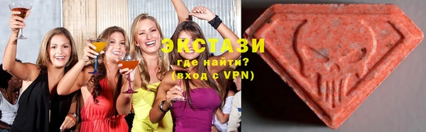 стаф Богданович
