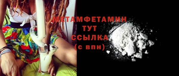 индика Богородицк