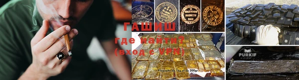 индика Богородицк