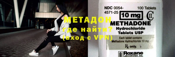 индика Богородицк