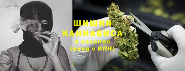 стаф Богданович