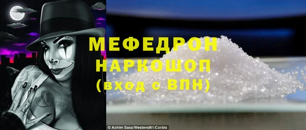 индика Богородицк
