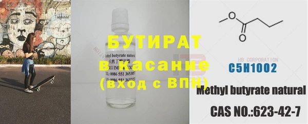 индика Богородицк
