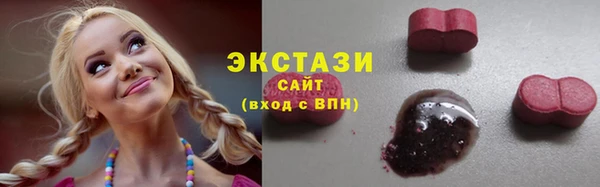 индика Богородицк