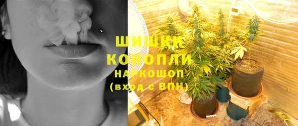 ГАЛЛЮЦИНОГЕННЫЕ ГРИБЫ Белоозёрский
