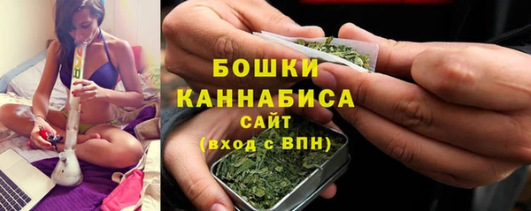 ГАЛЛЮЦИНОГЕННЫЕ ГРИБЫ Белоозёрский