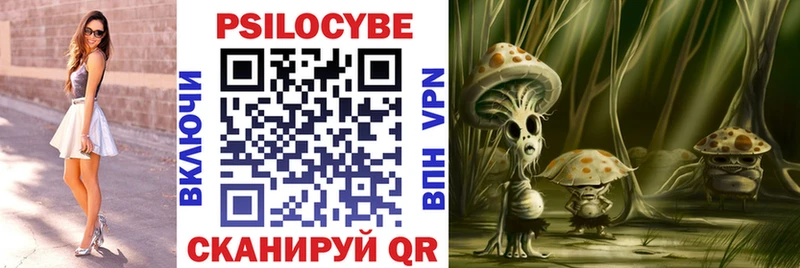 blacksprut ссылки Кушва Галлюциногенные грибы Psilocybine cubensis где найти наркотики